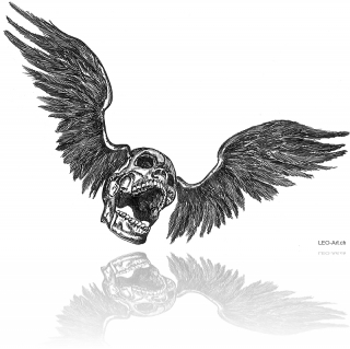 wingedskull